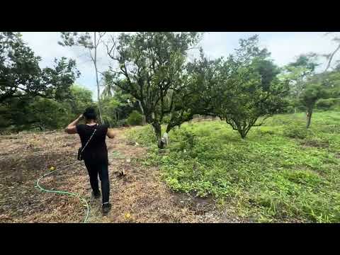 Monte San juan cuscatlan