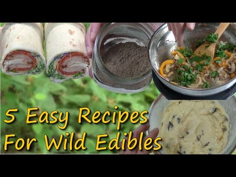 download lagu mp3 mp4 Wild Plant Recipes, download lagu Wild Plant Recipes gratis, unduh video klip Wild Plant Recipes
