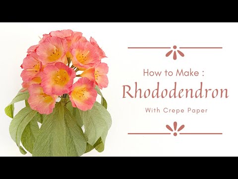 HOW TO MAKING RHODODENDRON WITH CREPE PAPER | Step to step tutorial