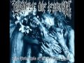 Cradle Of Filth - Summer Dying Fast