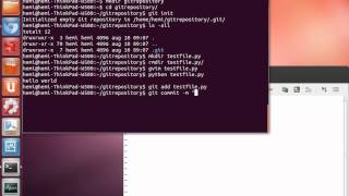 Git create repository and add a few commits.