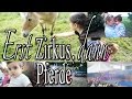 Erst Zirkus Dann Pferde It S My Life 365 PatrycjaPageLife
