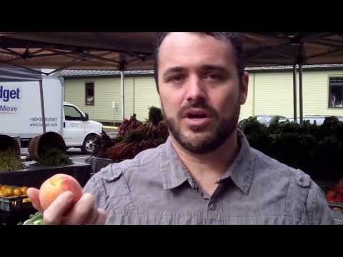 Josh Kroner Peach Season at the Rhinebeck Farmer's Market
