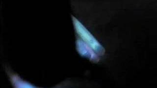 Ariel Pink's Haunted Graffiti - "I Wanna Be Young"