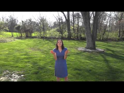 The Truth About Purebred Dogs