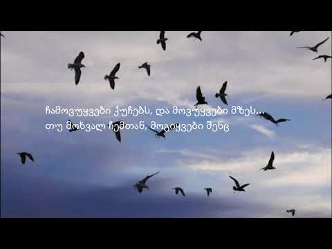 Giorgi Tiginashvili - Toliebi Lyrics