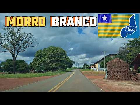 Estrada Mágica Túnel de Árvores Piauí