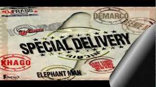 Special Delivery Riddim MIX[December 2012] - Dj Frass Records