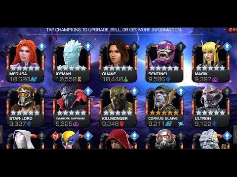 What 5-Star Champions Should You Take To Rank 4?