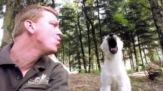 preview picture of video 'SENSATIONELL - Frank Fass vom Wolfcenter Dörverden bringt Wolfswelpen das Heulen bei'