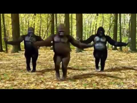 Jean Marie Dallas - Jira Misoma Ratsy (Nouveauté Salegy 2017)