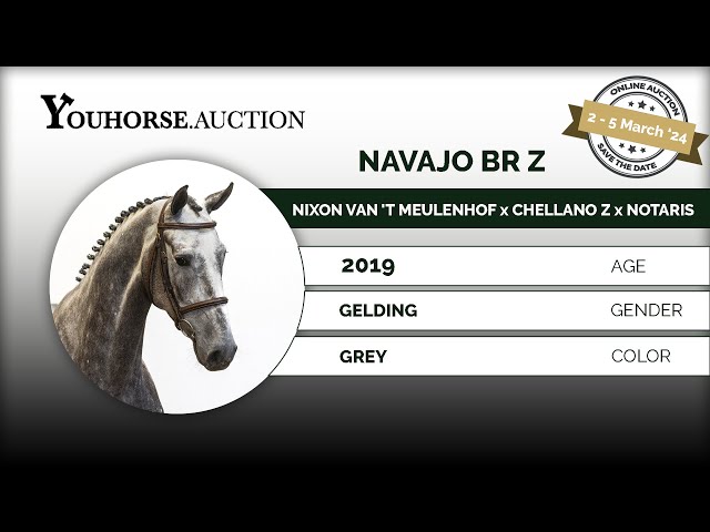 Navajo BR Z