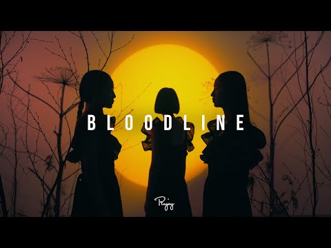 "Bloodline" - Freestyle Rap Beat | New Instrumental 2025 | DrawnyBeats #Instrumentals