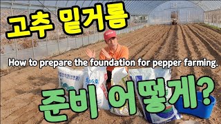 고추 농사 밑거름 미리 어떻게 준비할까요? How to prepare the foundation for pe…