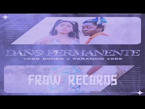 Daño Permanente - Yoss Bones X Paranoid 1966 (Audio)