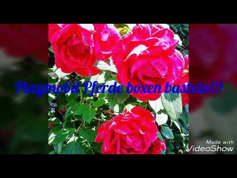 Playmobil Pferdebox basteln