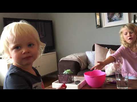 Godistest | Testar amerikanskt godis | Svenska