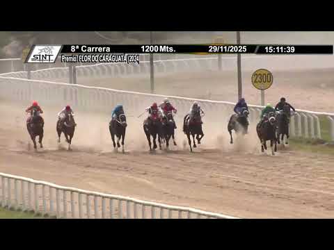 SINT MELO 251129 c08 - THUNDER MINE