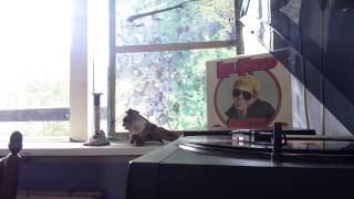 Lou Reed  N.Y Stars ⭐️