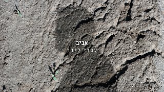 אביב