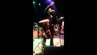 Ziggy Marley Fly Rasta