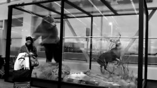 CHARMAINE Performing in Alaska - Love Reality, Tokyo