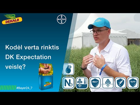 Kodėl verta rinktis DK EXPECTATION veislę?