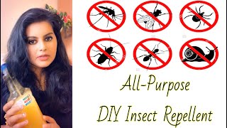 How to Get Rid of Cockroaches Overnight with this DIY Spray!