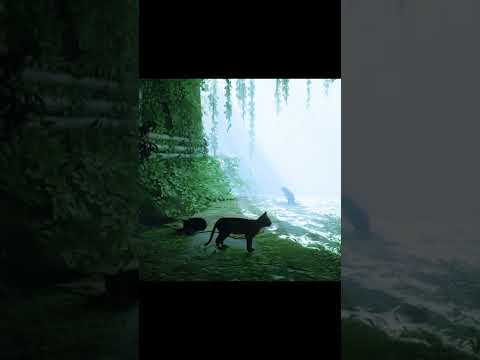 Could do this all day #stray #shorts #indiegame