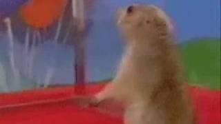 Drama Prairie Dog - Katana Slip Remix