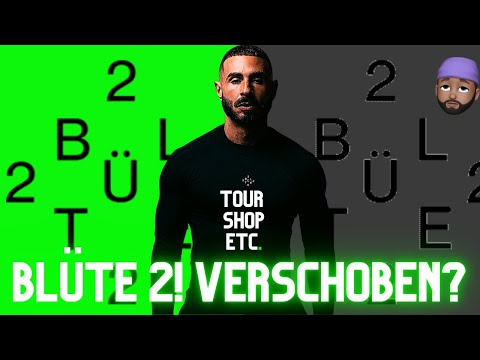 SHINDY - IS BLOSSOM 2 ONLY COMING NEXT YEAR!? TOUR POSTPONED!?