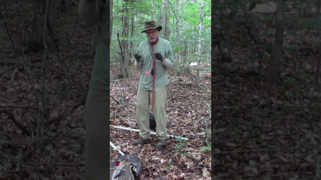 Short--Where Ley Lines Originate From--Short #leylines #hiddenworlds #earthenergies