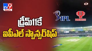 Dream 11 bags IPL 2020 title sponsorship - TV9