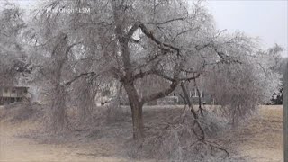Consumers Energy preparing for power outages