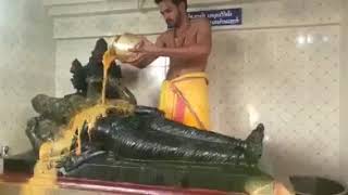 GOD Vishnu abhishekam