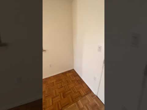 175/922 Freeman St Brookline MA, 02446