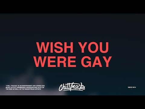 Billie Eilish – wish you were gay (Lyrics)