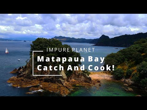 Matapaua Bay Catch And Cook!