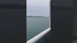 Coming into the outskirts of Wellington New Zealand #carnivalsplendor #newzealand #wellington