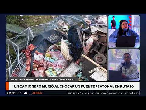 Un camionero murió al chocar un puente peatonal en Puerto Tirol - móvil en vivo