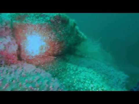 Dive on the Eddystone Lighthouse and Hat Rock reef from Plymouth with Falcon of Dartmouth