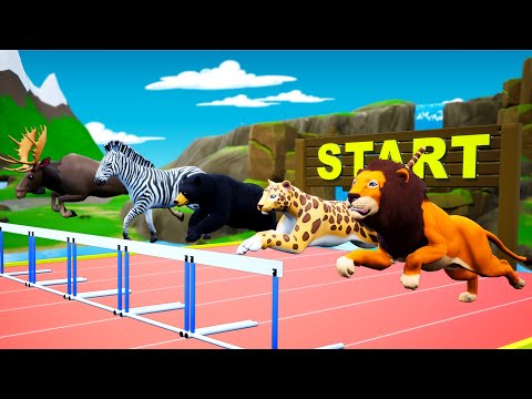 ANIMALS HURDLES RUNNING RACE | Animals Speed | Hurdle Racing | Animals Videos