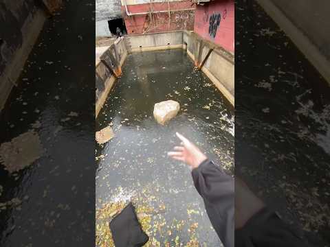 You’ve heard of ‘Still Water’, but have you heard of… 💦 #stillwater