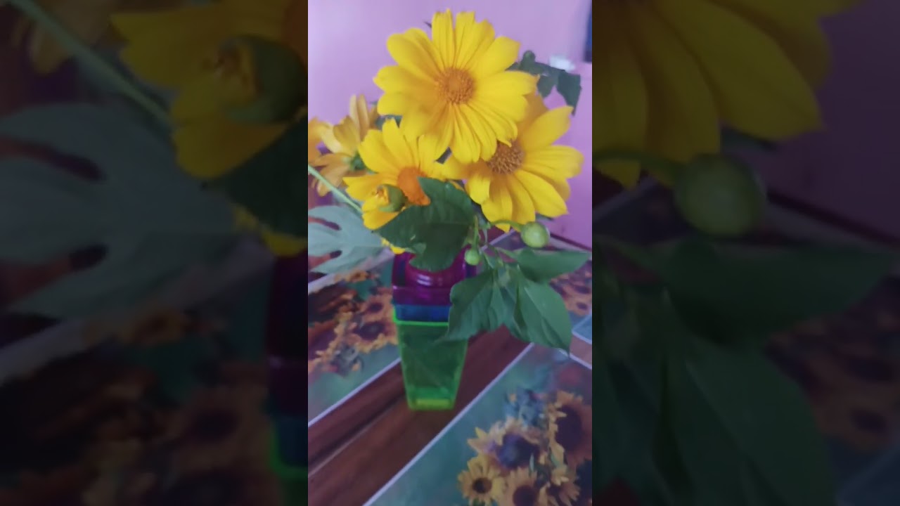 NUEVA DECORACIÓN CON GIRASOLES 🌼