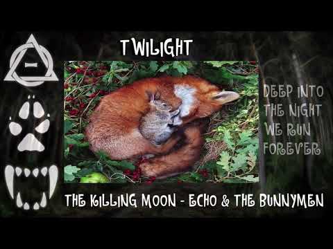 🦇 Twilight 🦉 Therian playlist 🕸️