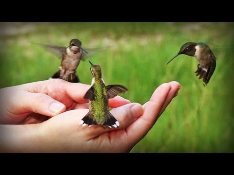 Merevedési zavarok