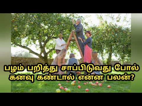 பழம் பறித்து சாப்பிடுவது போல் கனவு கண்டால் என்ன பலன்?/Palam parittu sappituvathu pol kanavu kantal?
