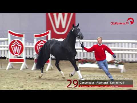 29  Ganymedes - Fidertanz - Donnerhall