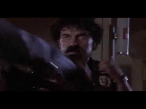 1982 Fúria Silenciosa (Chuck Norris) (Dublado)