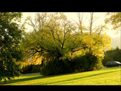 ANSAMBEL TONETA RUSA... NA VRZDENCU